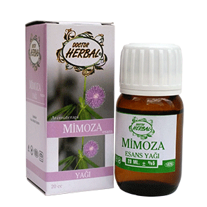 mimoza esans yağı